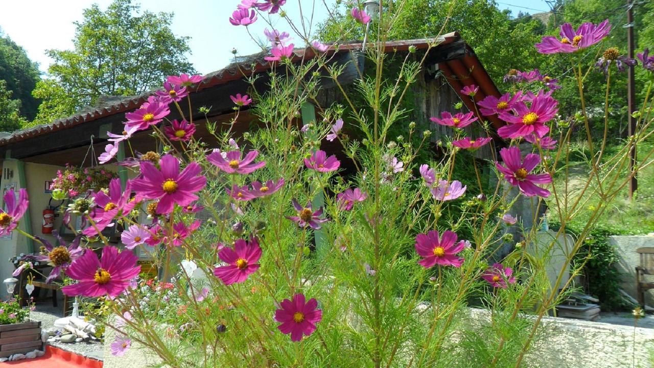 Camping Panoramique Du Verdon Castellane Exterior foto